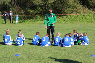 米兰真人-中国足球比赛犯规战术分类整理，足球比赛 犯规